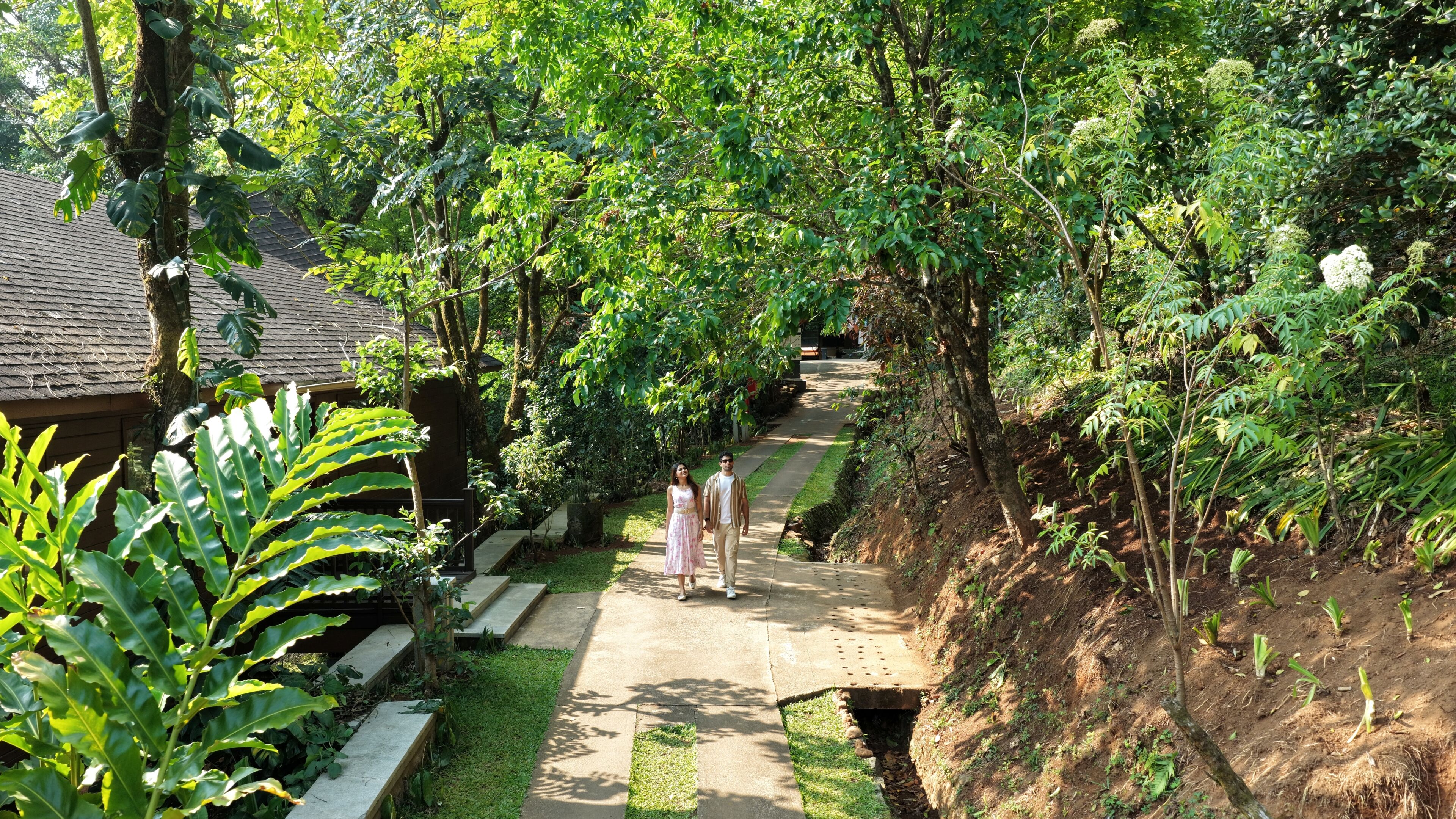 A pathway through a lush garden with a wooden structure on the left.
