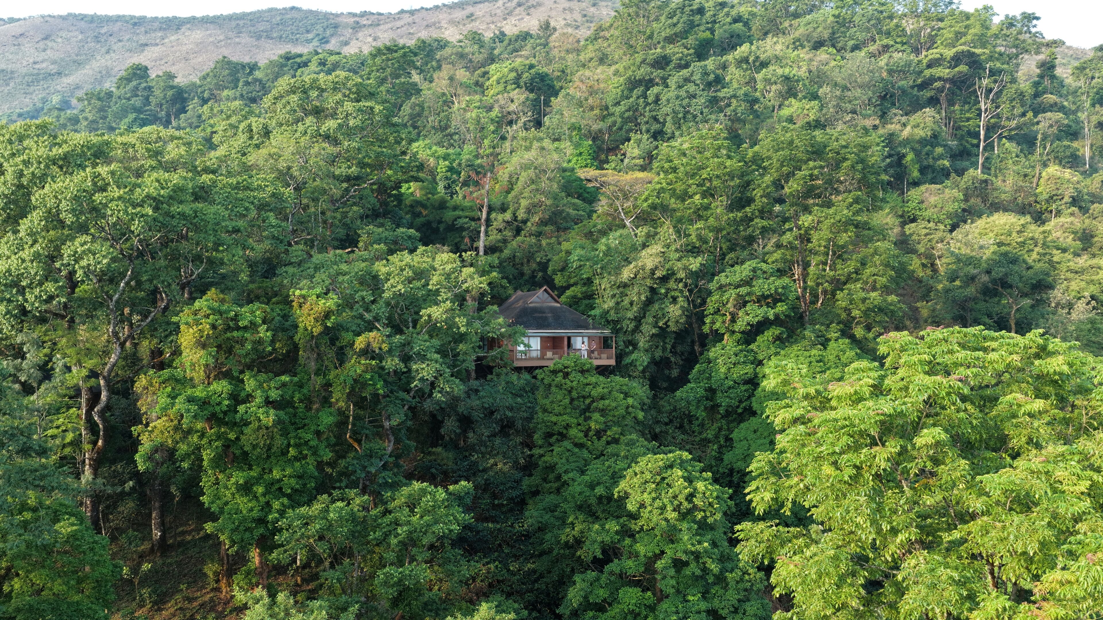A house surrounded by dense forest with a clear view of the surrounding nature.