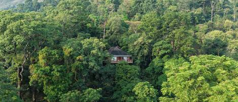 A house surrounded by dense forest with a clear view of the surrounding nature.