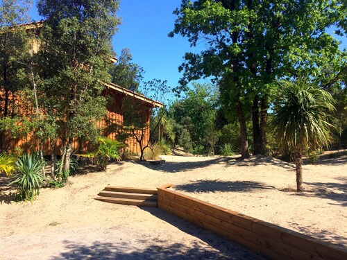 MAISON BOIS EN BORDURE DE L' OCEAN