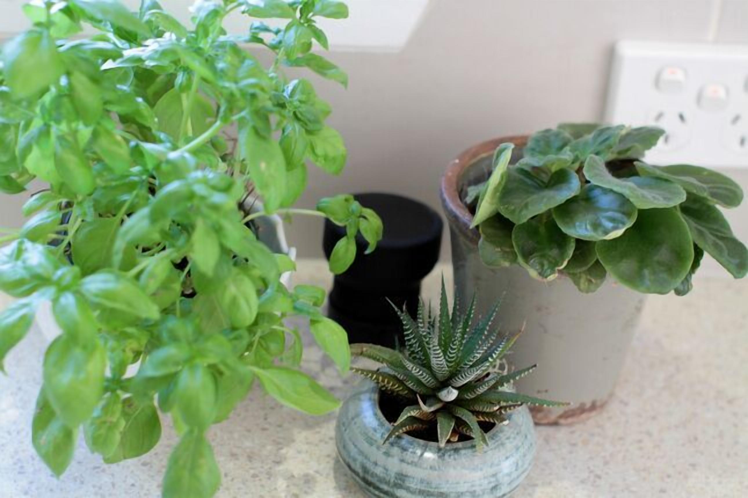 Little Rocks - quiet retreat — image 14