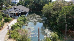 A house with a pond surrounded by lush greenery. - Weerawan Place (Khon Kaen)
