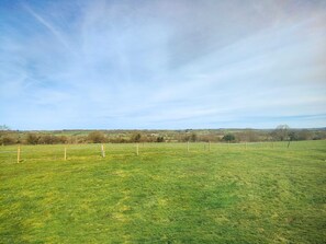 Surrounded by rolling hills and trees, this serene field offers a peaceful escape.