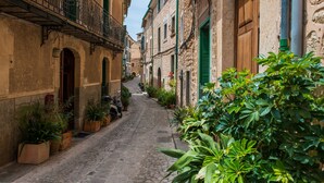 Une ruelle étroite pavée, bordée d’immeubles dotés de balcons et de volets verts.