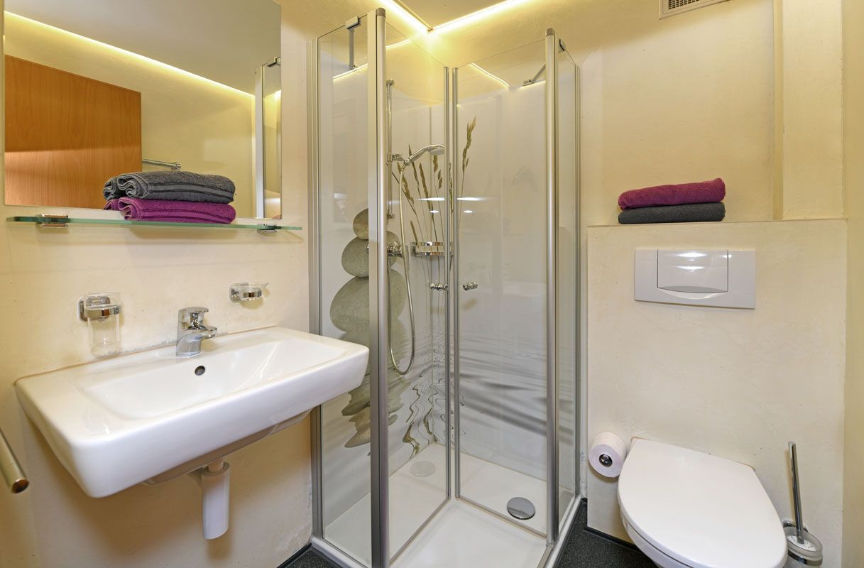A bathroom with a glass-enclosed shower, a sink, a toilet, and a mirror.