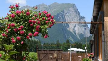 Ein Garten mit rosa Blumen und Blick auf die Berge.