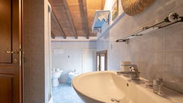 Bathtub, hair dryer, bidet, towels