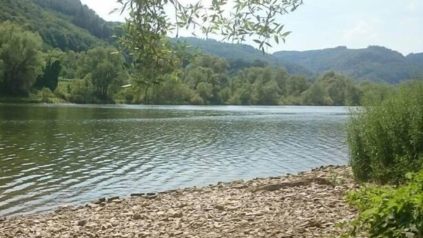 A calm river with a rocky shore and dense greenery in the background. - Das Gästehaus in Valwig (Valwig)
