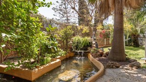 Un petit étang avec une cascade, entouré de différentes plantes et d’arbres.