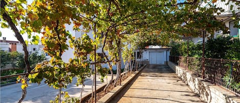 Un sendero bordeado de parras que lleva a un edificio blanco con garaje.