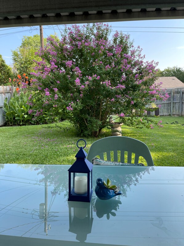 Terrace/patio