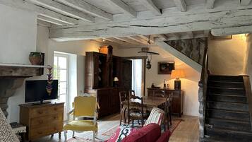 Télévision, cheminée, lecteur de DVD, livres