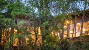 A building with a rustic wooden exterior, surrounded by dense foliage. - Hanarenoyado Sennomori (Aso)