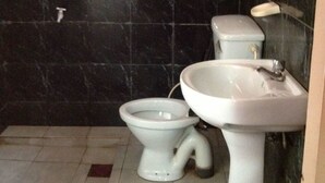 A bathroom with a toilet and a sink.