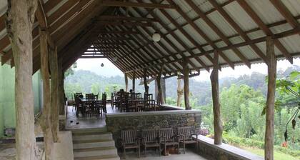 Yoho Rain Forest Eco Lodge