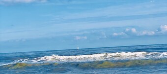 Spectacular & Spacious Hideaway: 1 Min WALK to the Beach, NO Streets to Cross! 
