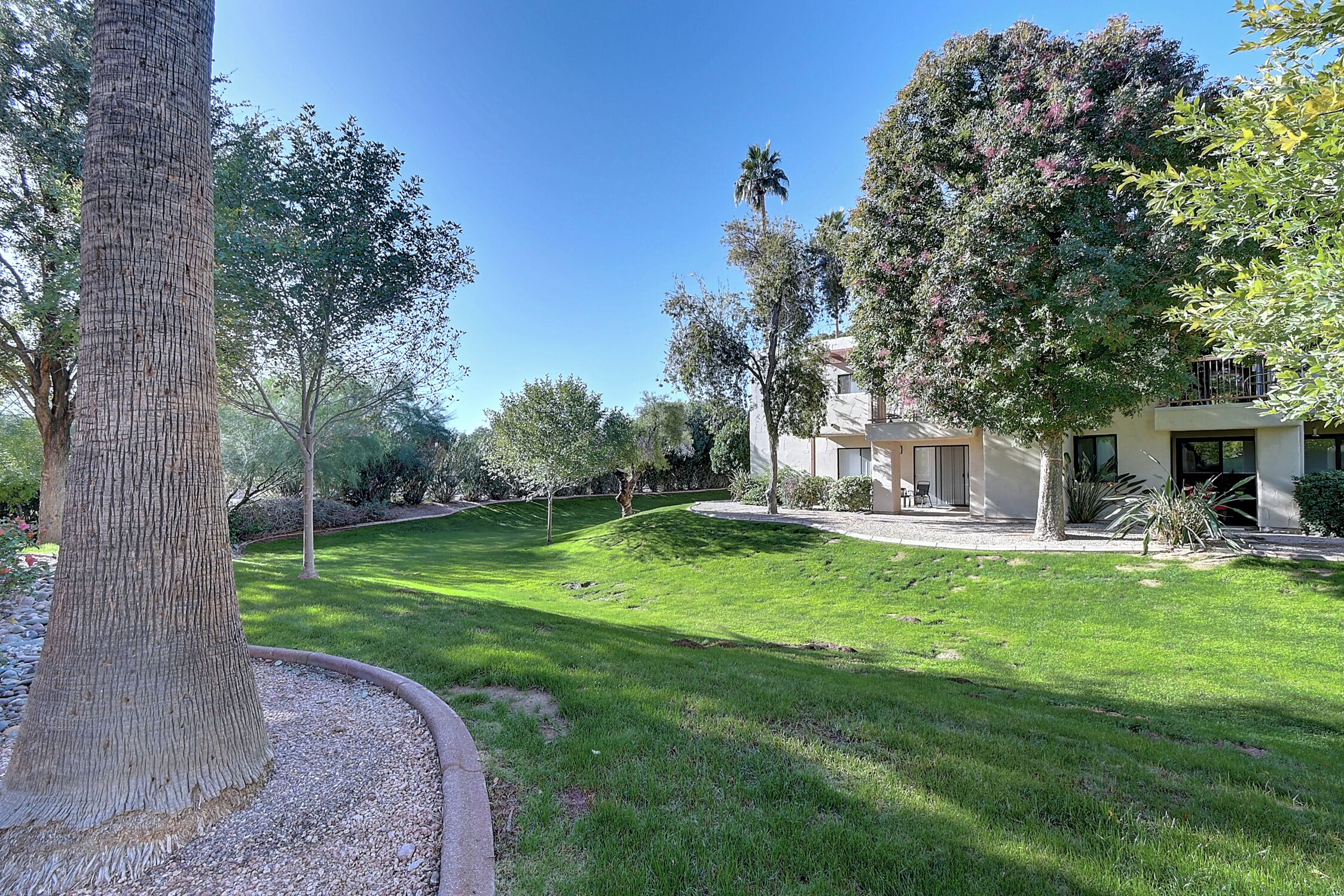 A well-maintained lawn with a large tree and a building with a modern design.