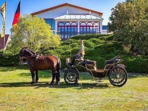 Uklassifisert bilde, 5 av 18, knapp