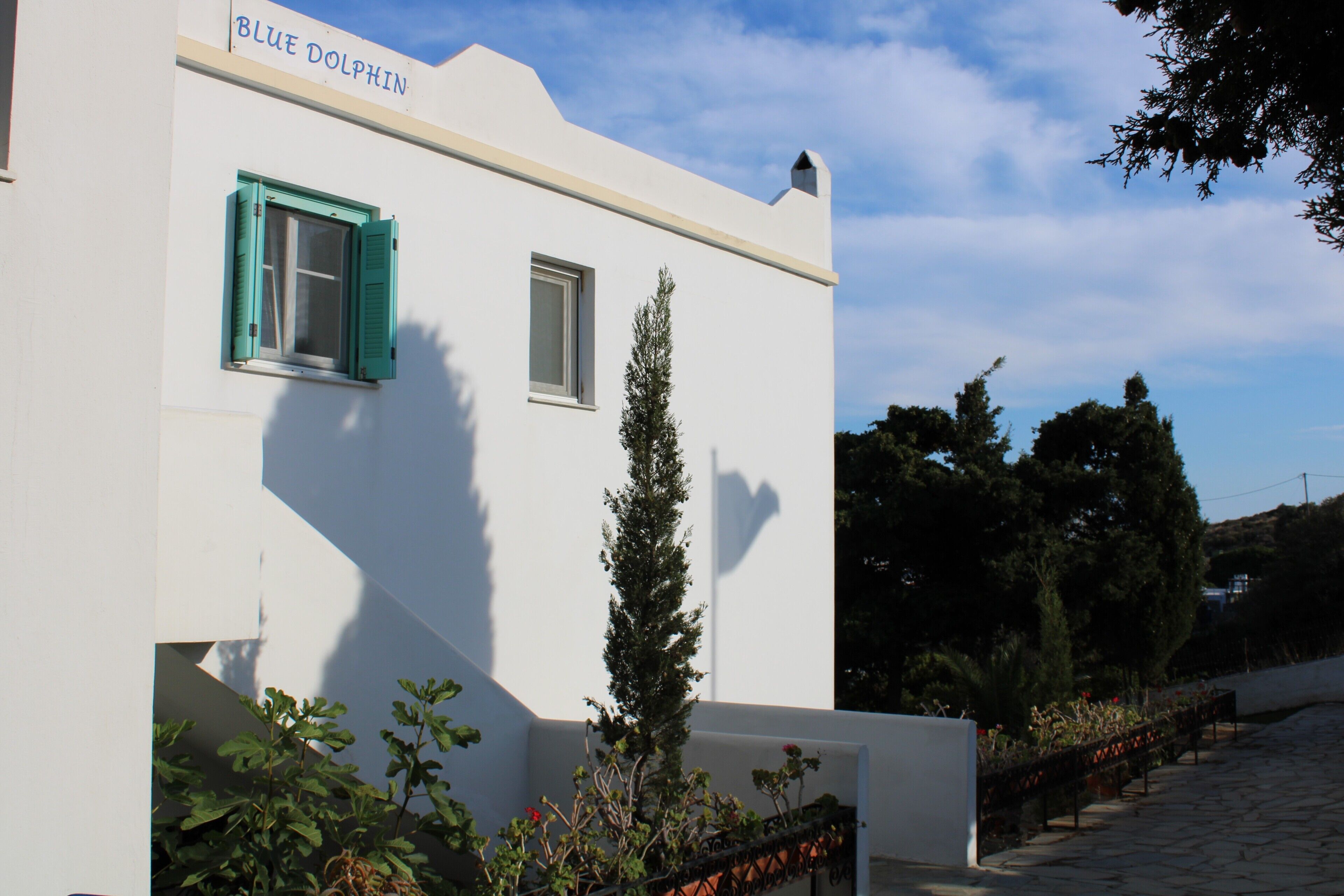 Un edificio blanco con el nombre "BLUE DOLPHIN" en la fachada, una ventana con persianas verdes y un pequeño árbol en la parte delantera.