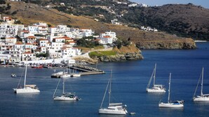 A coastal town with white buildings and a marina with sailboats. - Blue Dolphin (Andros)