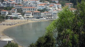 A coastal town with white buildings and red roofs, a beach with umbrellas, and a calm sea. - Blue Dolphin (Andros)