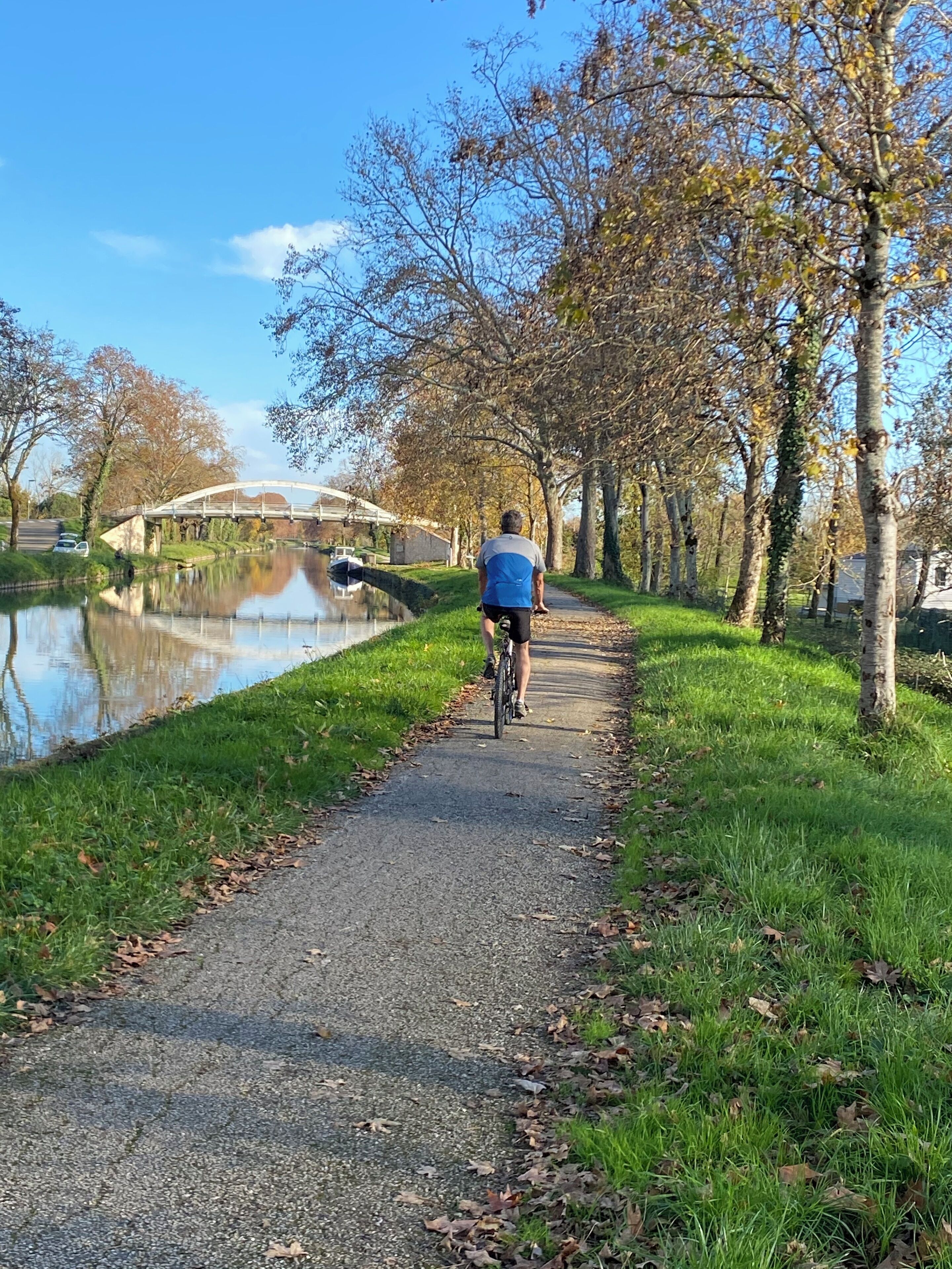 Vélo