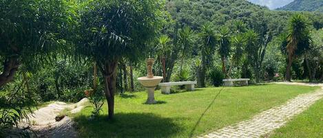 A paved pathway leading through a lush garden with a fountain and benches.