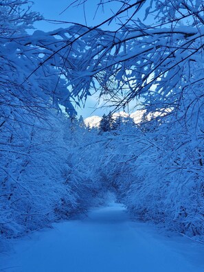 Unclassified image, 5 of 27, button