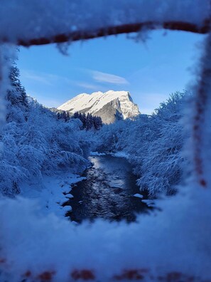 Unclassified image, 4 of 27, button