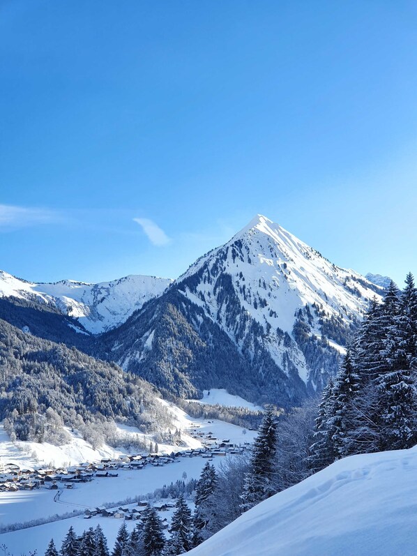 Unclassified image, 1 of 27, button