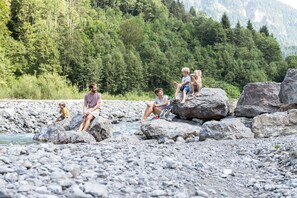 Unclassified image, 3 of 76, button - Apartment 1 Künzelspitze - Apartments Schantl in the Bregenzerwald (Schoppernau)