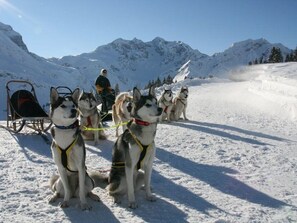 Unclassified image, 5 of 76, button - Apartment 1 Künzelspitze - Apartments Schantl in the Bregenzerwald (Schoppernau)