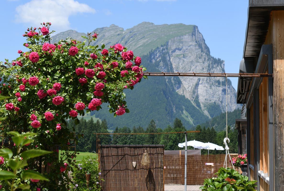 A garden with pink flowers and a mountain view.