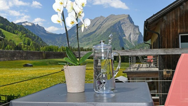 Ein Tisch mit einer Topfpflanze und einer Glaskaraffe vor einer Bergkulisse.