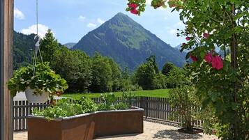 Un jardin agrémenté d’une pergola en bois, d’un grand bac à fleurs et offrant une vue sur une montagne.