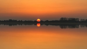 منوع