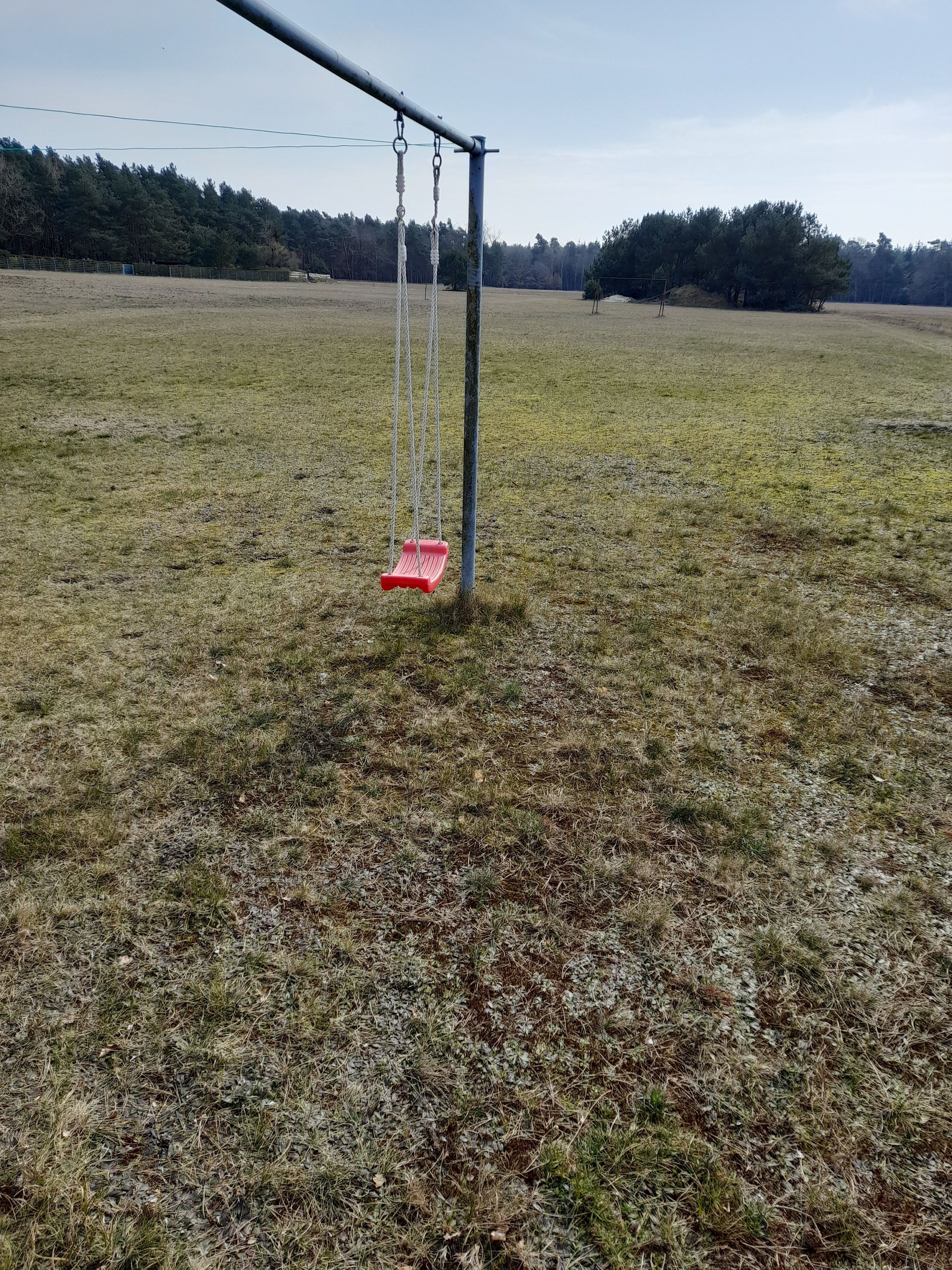 A swing set in a grassy field with a metal pole and chains, surrounded by trees.