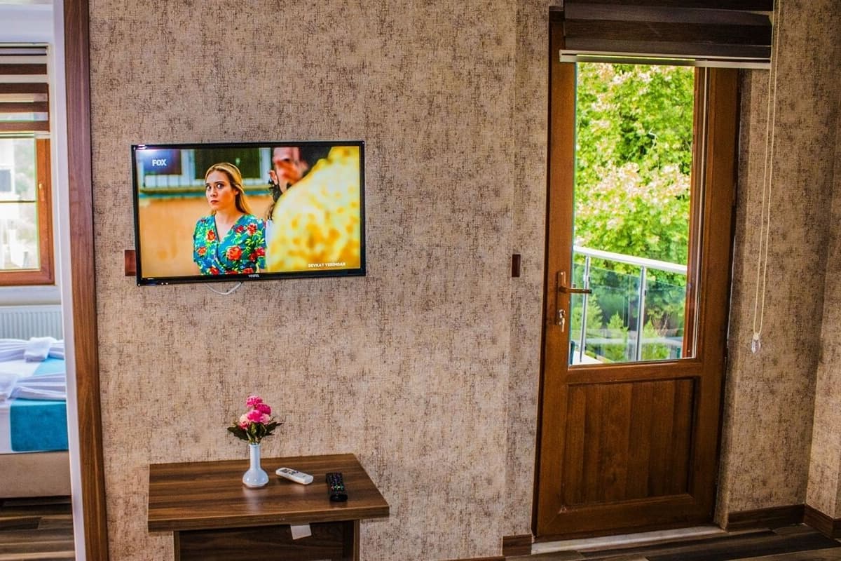 Ett hotellrum med en tv som är monterad på väggen, en trädörr och ett fönster med utsikt över grönområden.
