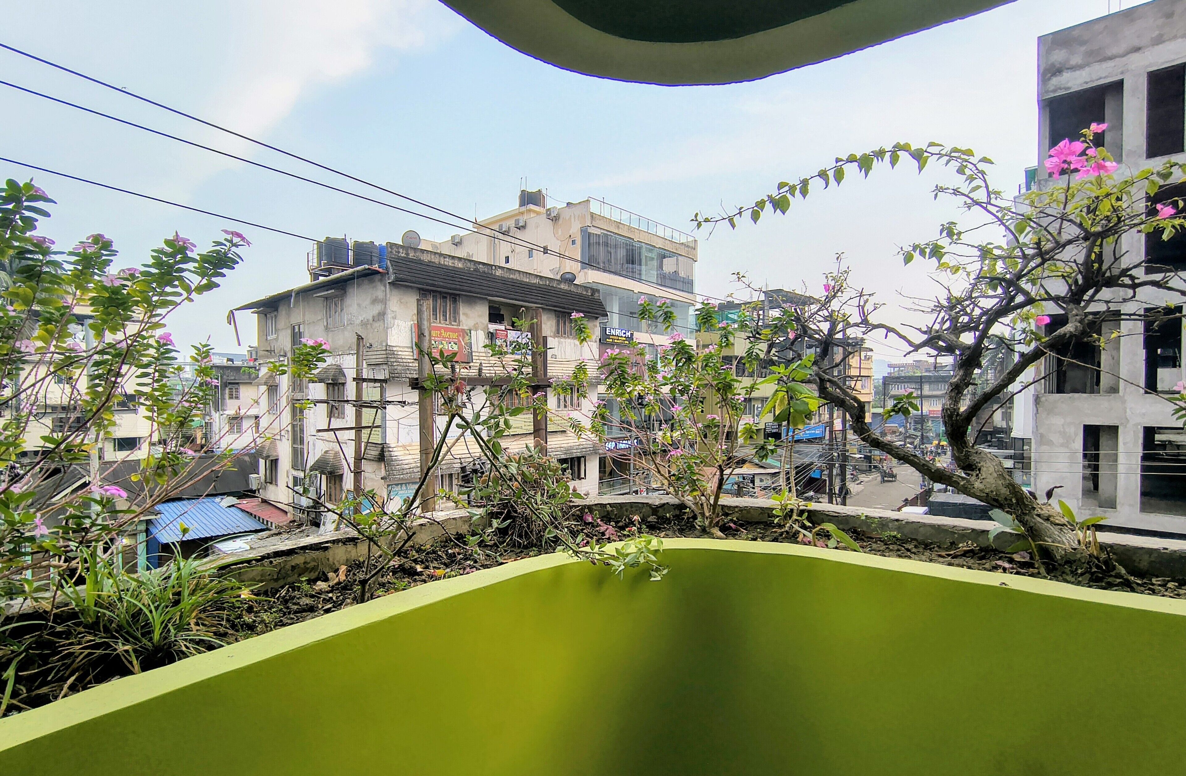 Uma área residencial com edifícios, uma árvore com flores cor-de-rosa e uma estrutura verde em primeiro plano.