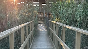 Enceinte de l’hébergement