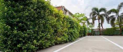 A parking area with a concrete surface and a hedge on one side.