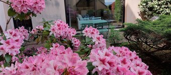 Le Denys Puech 55m² + terrace in the heart of town