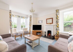 智能电视、壁炉、DVD 播放器、书