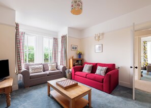 Una Smart TV, una chimenea, un reproductor de DVD, libros