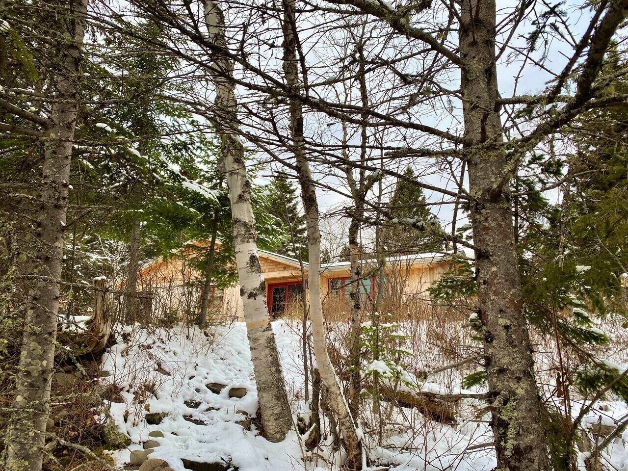 Une cabane entourée d’arbres, et la neige recouvre le sol.
