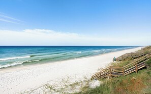 Beach - Seacrest Beach Home + Dog Friendly, Tram & Bikes (Seacrest Beach)