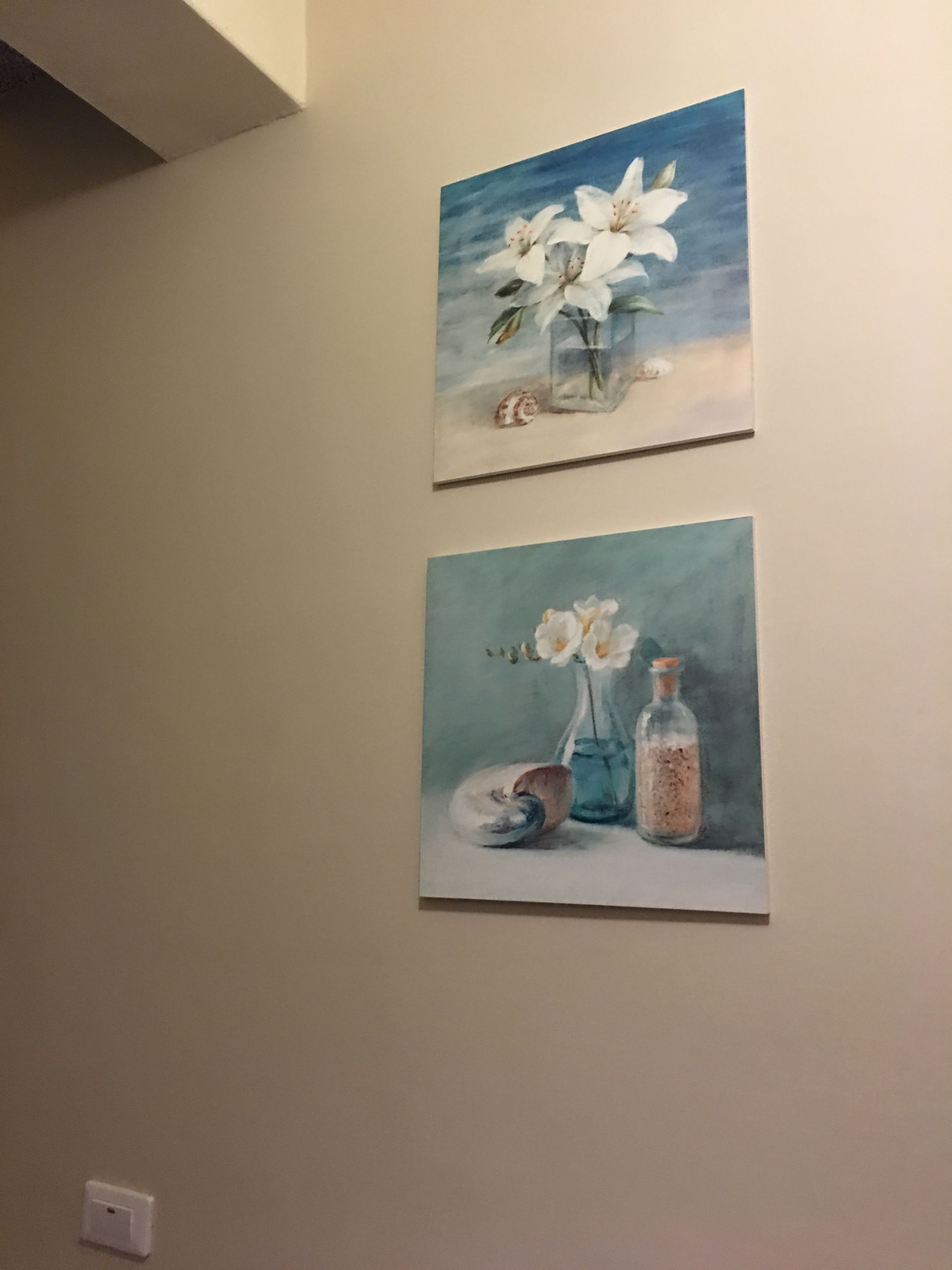 Due quadri raffiguranti composizioni floreali su una parete.