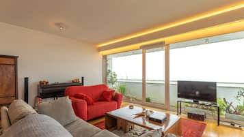 Smart TV, chimenea, libros y biblioteca musical