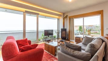 Smart TV, chimenea, libros y biblioteca musical