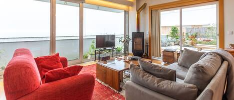 Smart TV, chimenea, libros y biblioteca musical